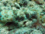 Curacao 04-12 103